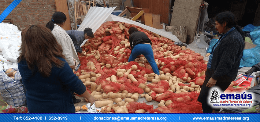 Donación Zapallos