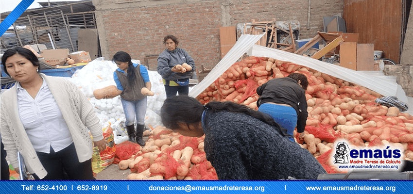 Donación Zapallos