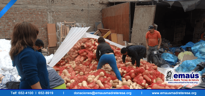 Donación Zapallos