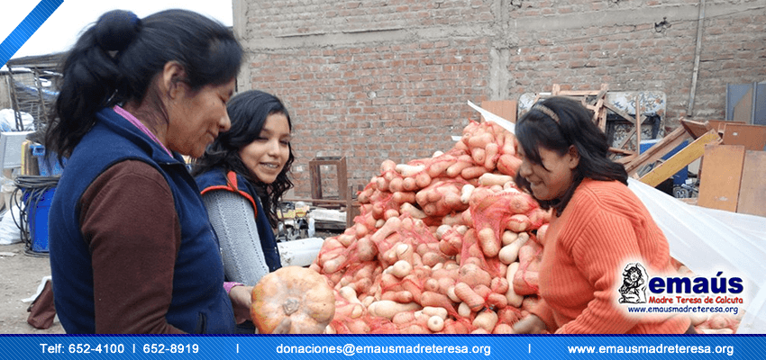 Donación Zapallos