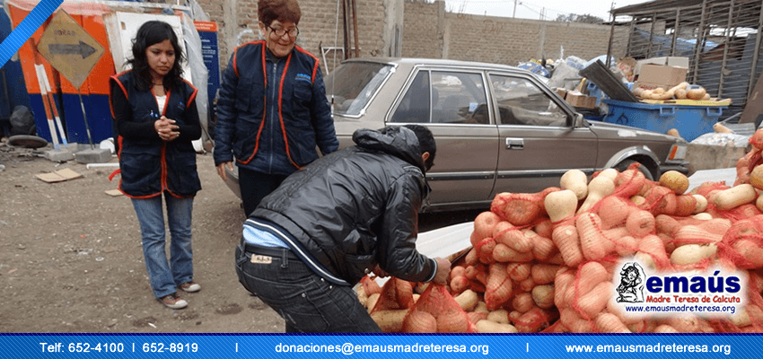 Donación Zapallos