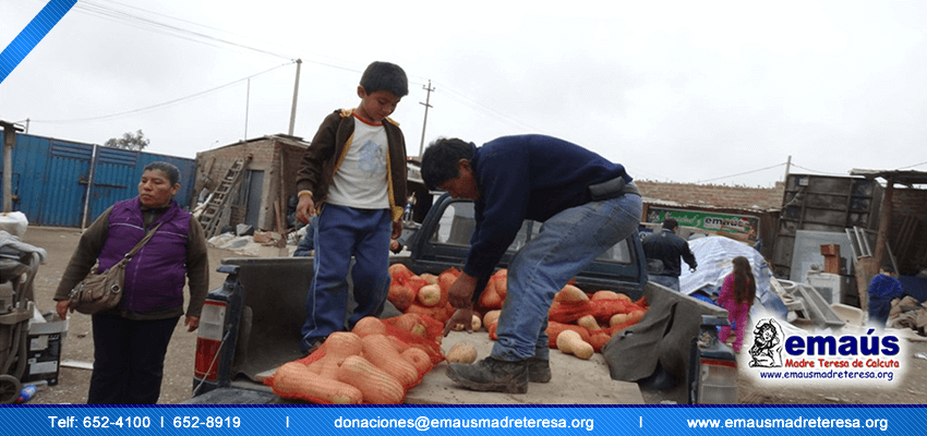 Donación Zapallos