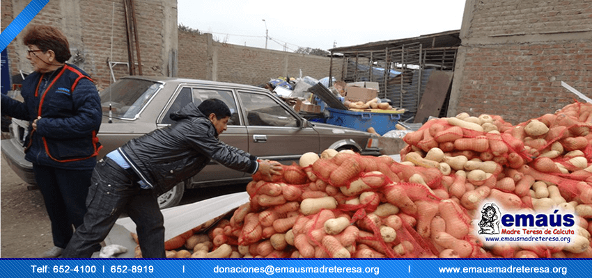 Donación Zapallos